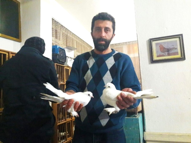 Türkiye'de sadece 7 çift var, araba fiyatına satıldı