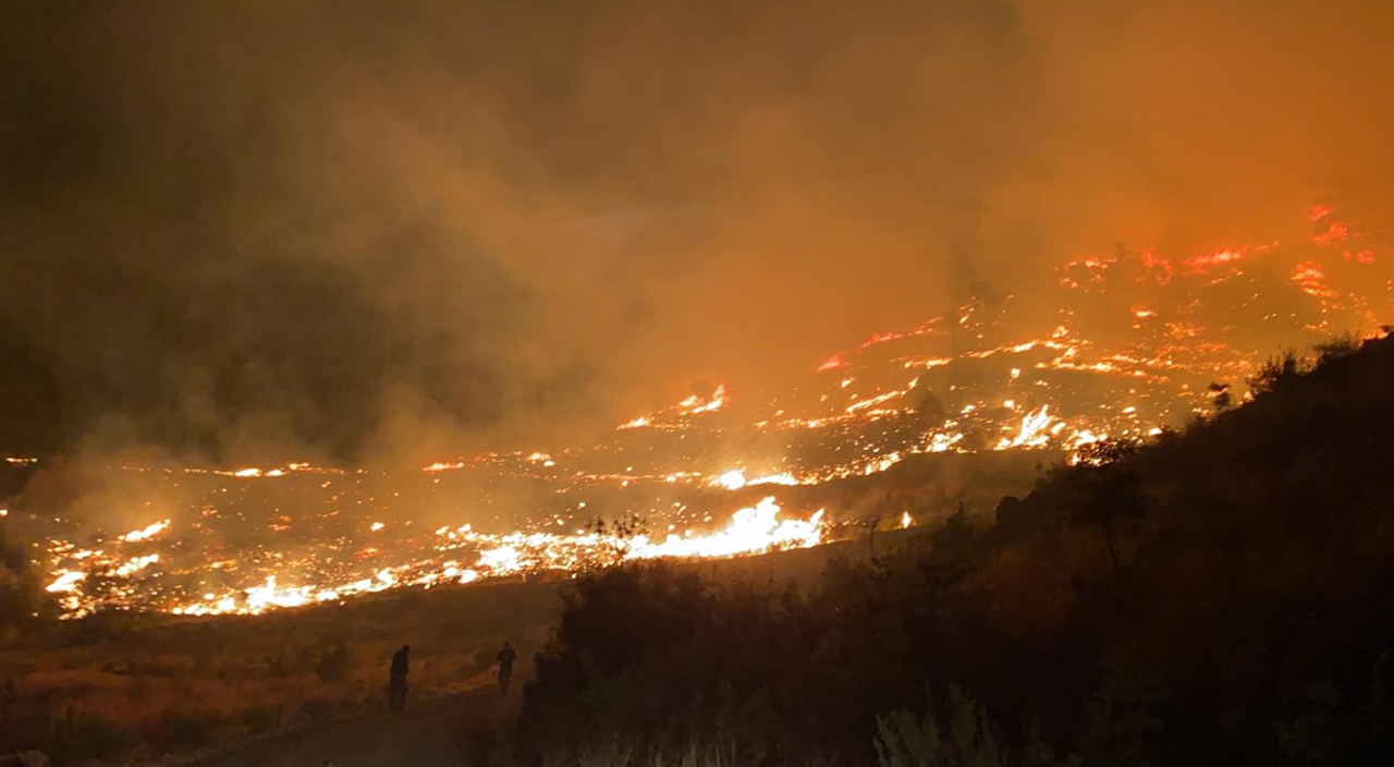 Muğla'da orman yangını kontrol altına alındı