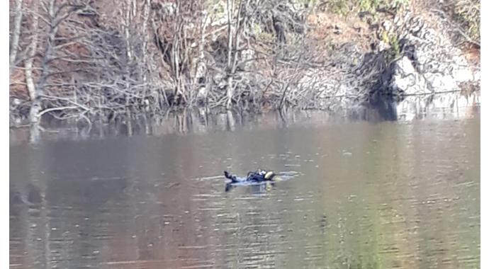 Serinlemek için girdiği gölette boğuldu