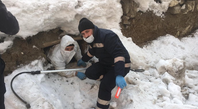 Göçük altında kalan yavru köpekler kurtarıldı