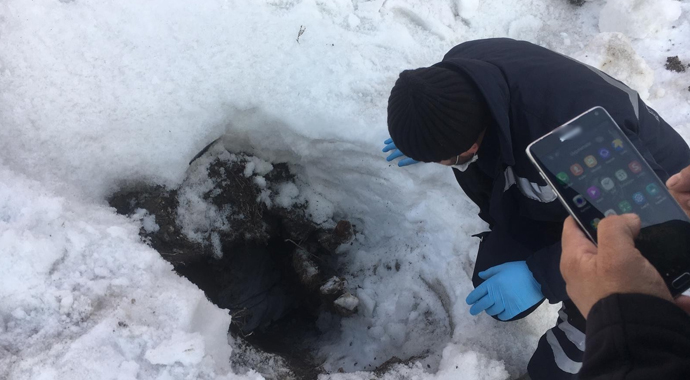 Göçük altında kalan yavru köpekler kurtarıldı