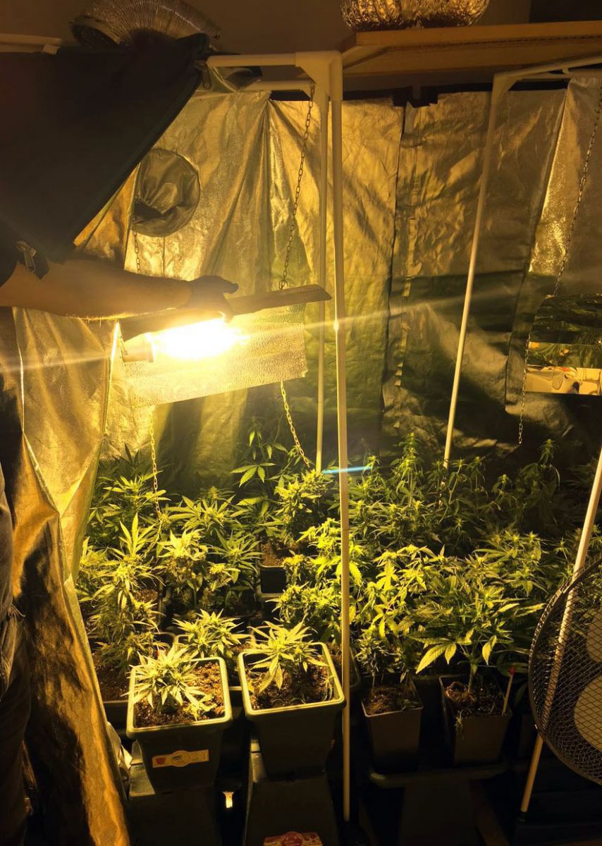 Sarıyer'deki lüks daireyi uyuşturucu serasına çevirmişler