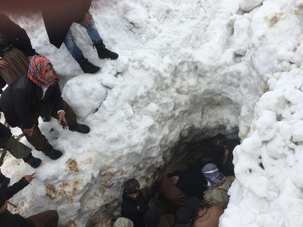 Ahırların üzerine çığ düştü: 46 hayvan telef oldu