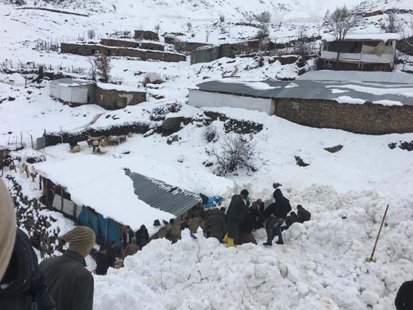 Ahırların üzerine çığ düştü: 46 hayvan telef oldu