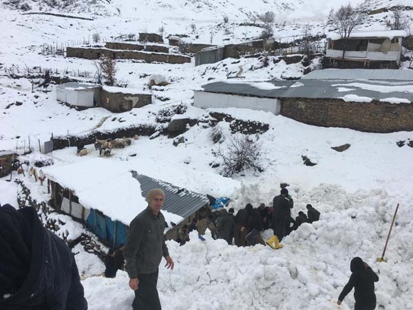 Ahırların üzerine çığ düştü: 46 hayvan telef oldu