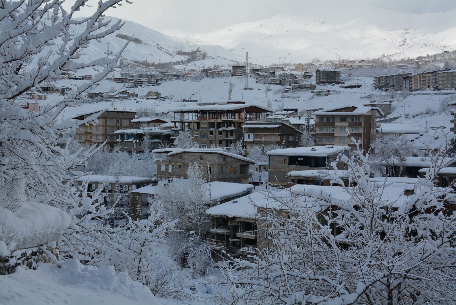 Evler ve araçlar kara gömüldü! Hayat durma noktasına geldi
