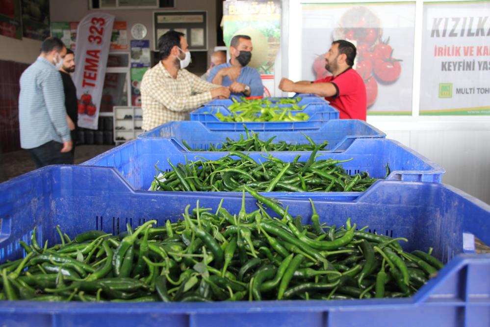 Haller ile marketler arasındaki fiyat farkı dudak uçuklatıyor Haller ile marketler arasındaki fiyat farkı dudak uçuklatıyor