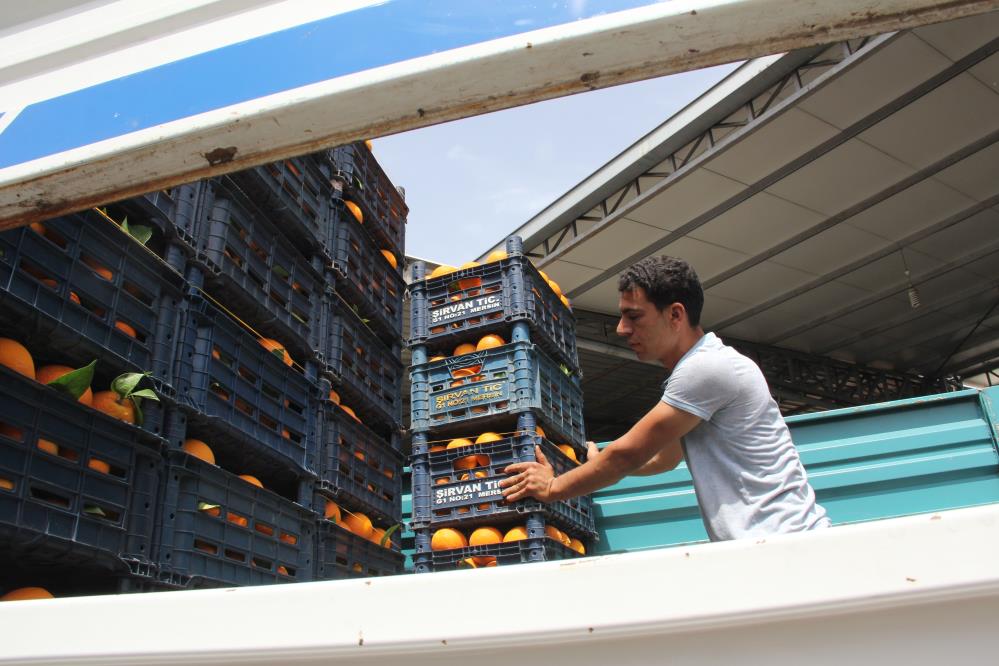 Haller ile marketler arasındaki fiyat farkı dudak uçuklatıyor Haller ile marketler arasındaki fiyat farkı dudak uçuklatıyor