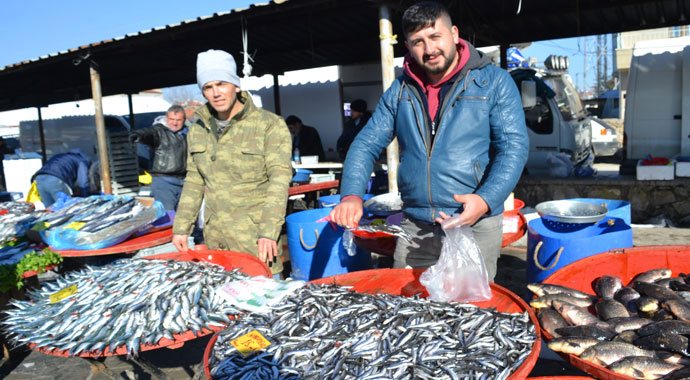 Karadeniz hamsisine yoğun ilgi