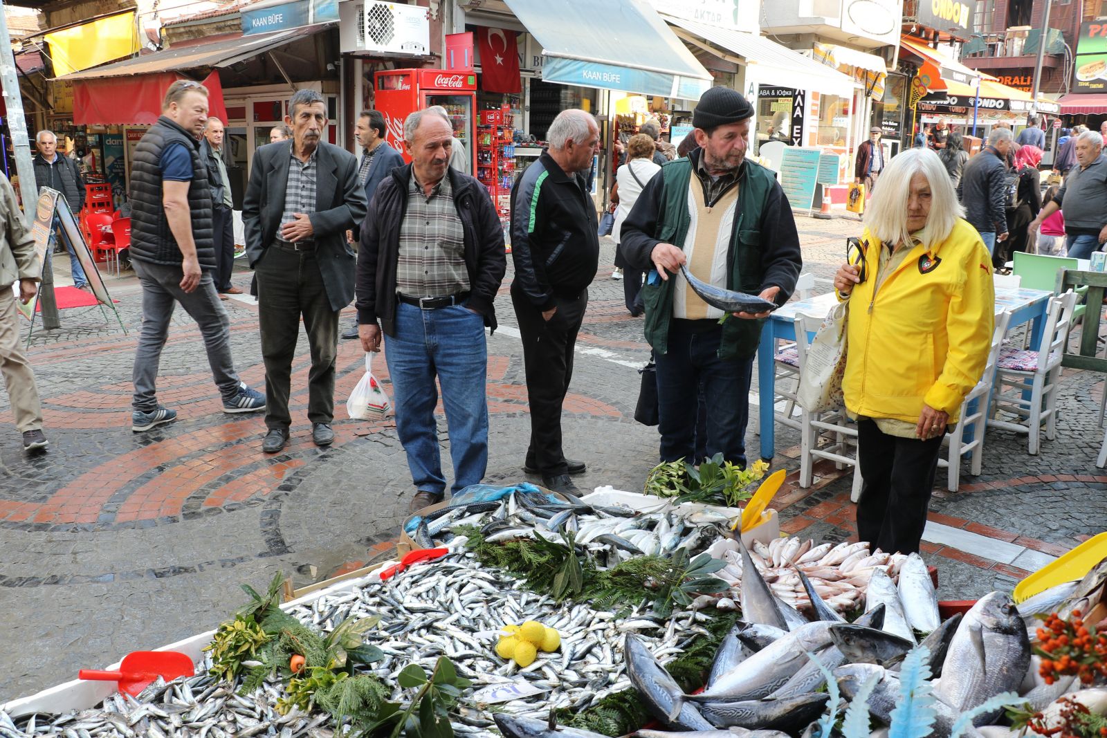 ‘Denizlerin kuru fasulyesi’ hamsi 10 TL’ye düştü