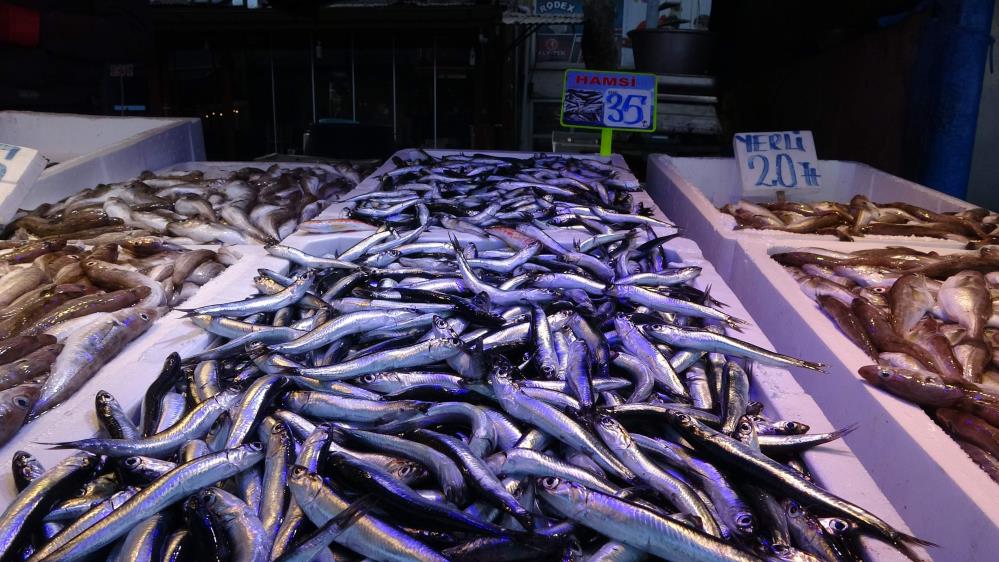 Yerli hamsi bu yıl ilk kez tezgâhlarda yerini aldı ama fiyatı cep yakıyor