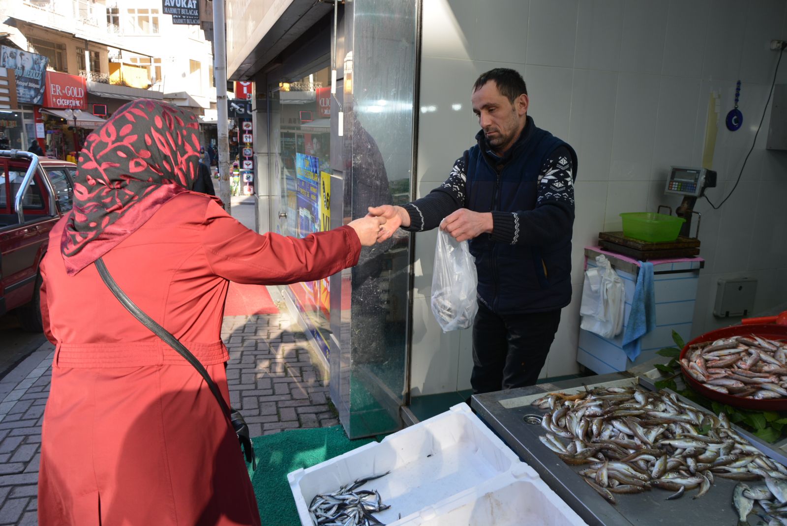 Hamsi fiyatı düştü