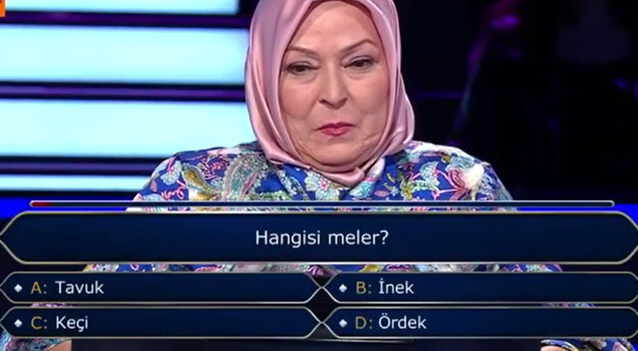 Kim Milyoner Olmak İster'e damga vurdu! “Hangisi meler?” sorusunda eleniyordu, geldiği rakamla şaşkına çevirdi Kim Milyoner Olmak İster'e damga vurdu! “Hangisi meler?” sorusunda eleniyordu, geldiği rakamla şaşkına çevirdi