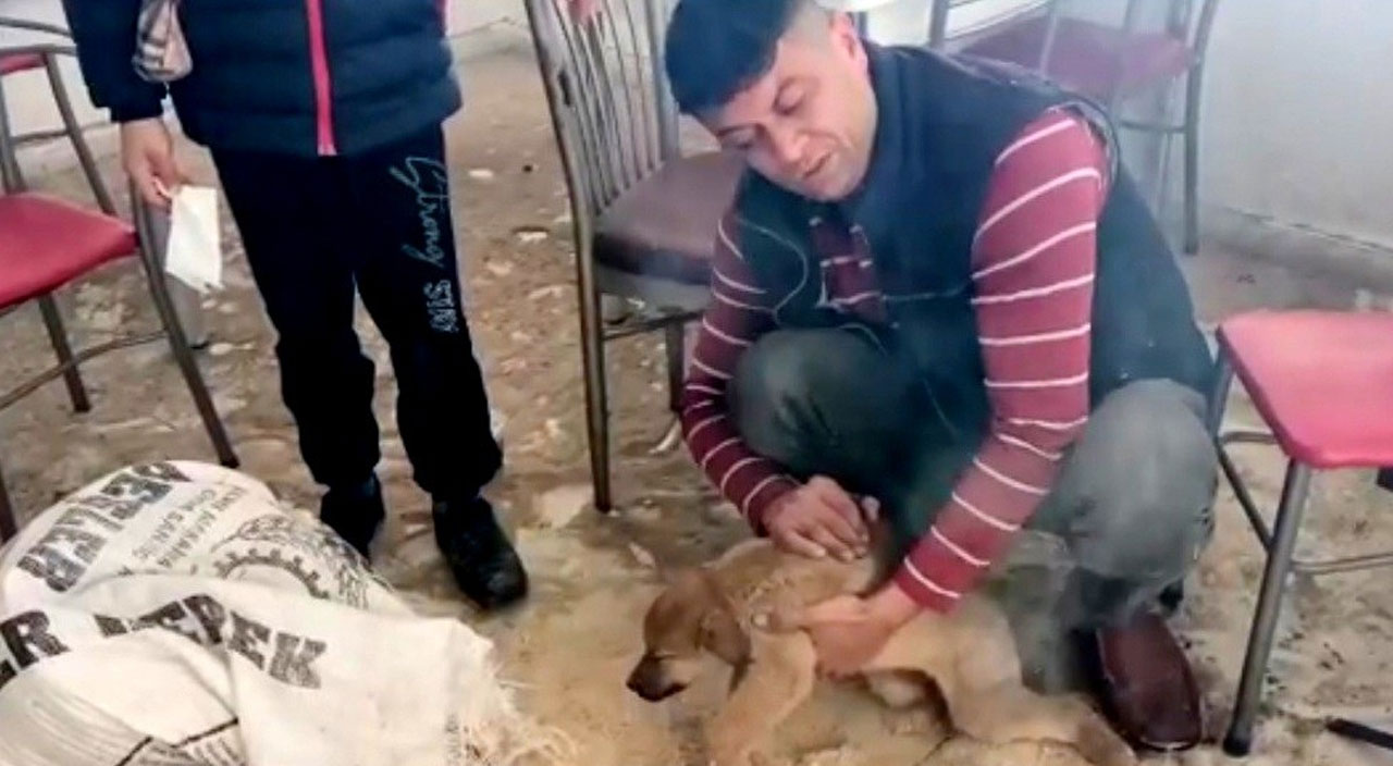 Donmak üzere buldular: Yaktıkları ateşle hayatta tuttular