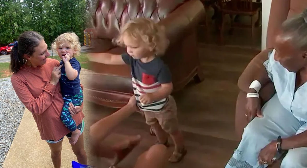 2 yaşında kahraman oldu: Alzheimer hastası kadının hayatını böyle kurtardı