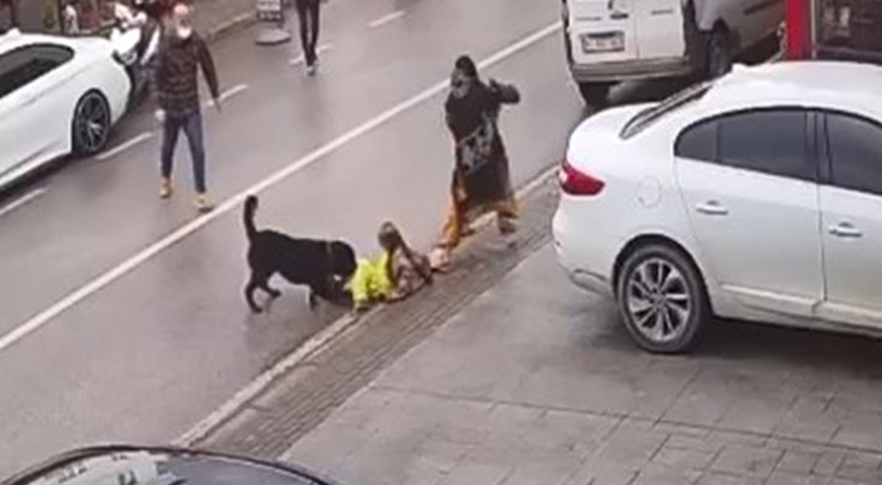 Köpeğin saldırısına uğrayan kadın kucağındaki çocuğu bırakıp kaçtı