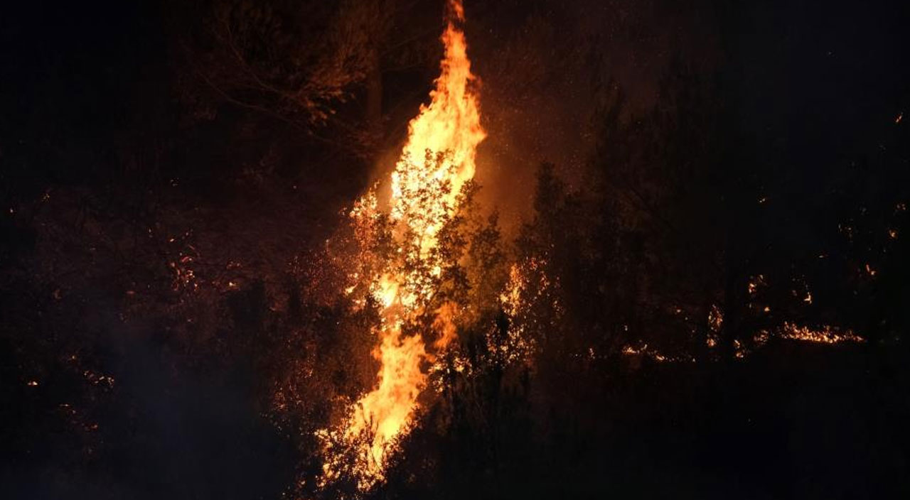 Manisa’da orman yangını büyüdü: Evler tahliye ediliyor