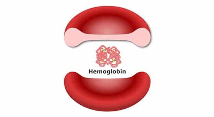 HGB (Hemoglobin) nedir? | HGB neden yaptırılır? | HGB kaç olmalı? HGB düşüklüğü, HGB yüksekliği