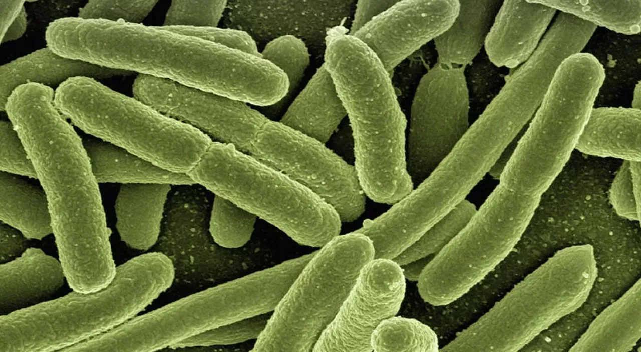 DSÖ’den gizemli hepatitle ilgili ilk ciddi uyarı: Kusma, ishal, karın ağrısı varsa dikkat!