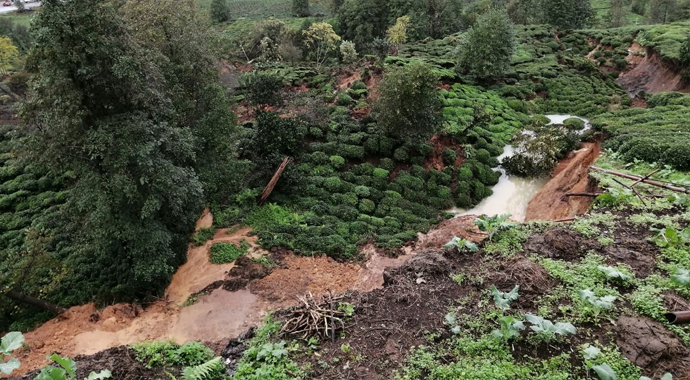Rize'nin Pazar ilçesinde heyelan: İlçedeki 5 ev boşaltıldı