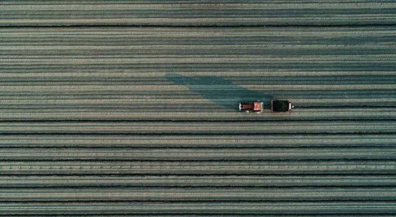 Tarımda dijital dönem: Anlık ürün takibi için yeni sistem kuruluyor