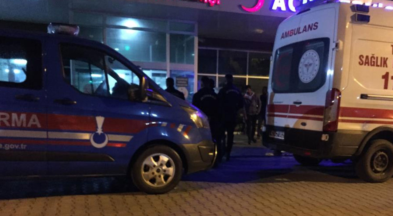 Hayvanlarını aramaya giden adamın feci sonu