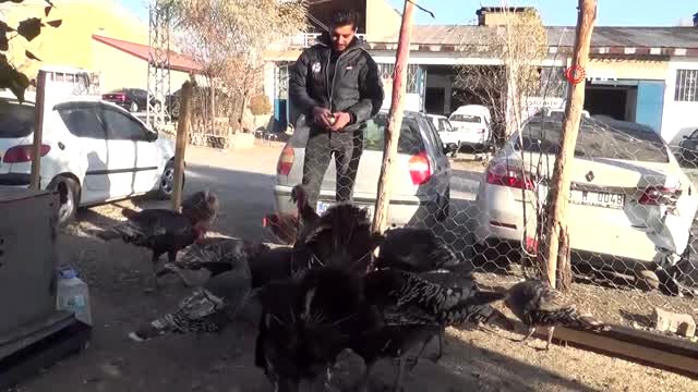 Yer: Sanayi sitesi... Kesmeye kıyamadı can yoldaşı oldu