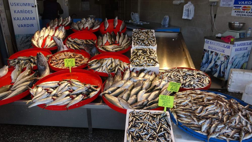 Trabzon'da hamsi azaldı, fiyatı yükseldi