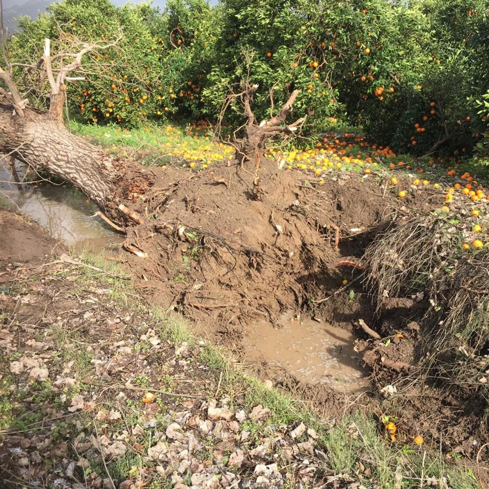 Antalya’yı hortum vurdu: 2 ölü, 1 kayıp, 11 yaralı