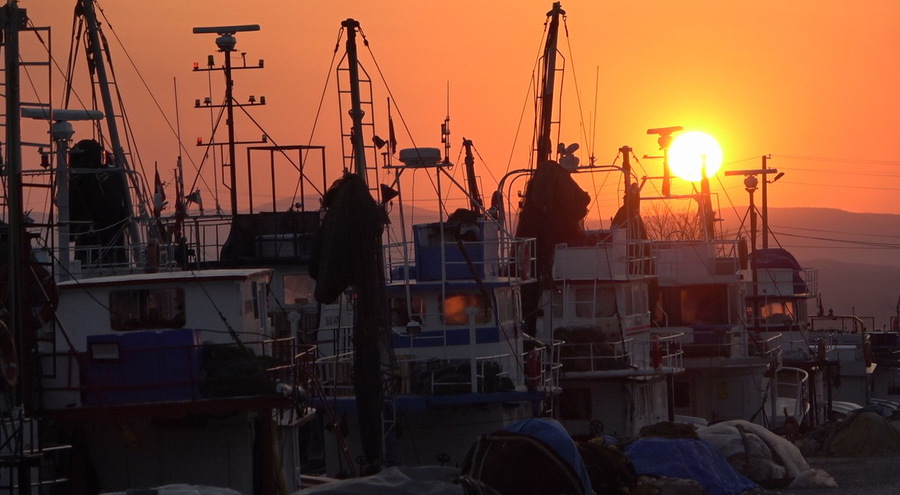 Balıkçıların mayın korkusu