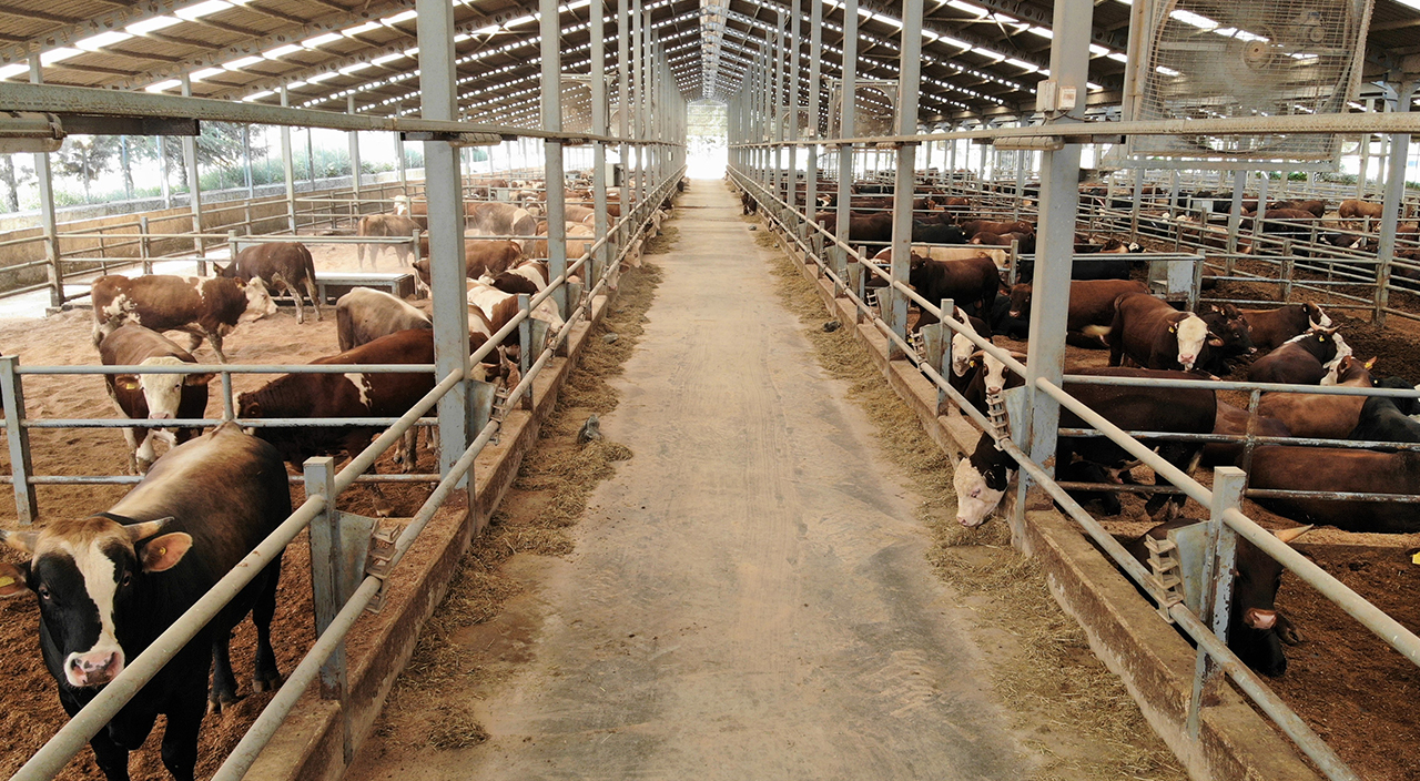 Bir talaş ile üretimi dörde katladı, bölgenin en büyüğü oldu