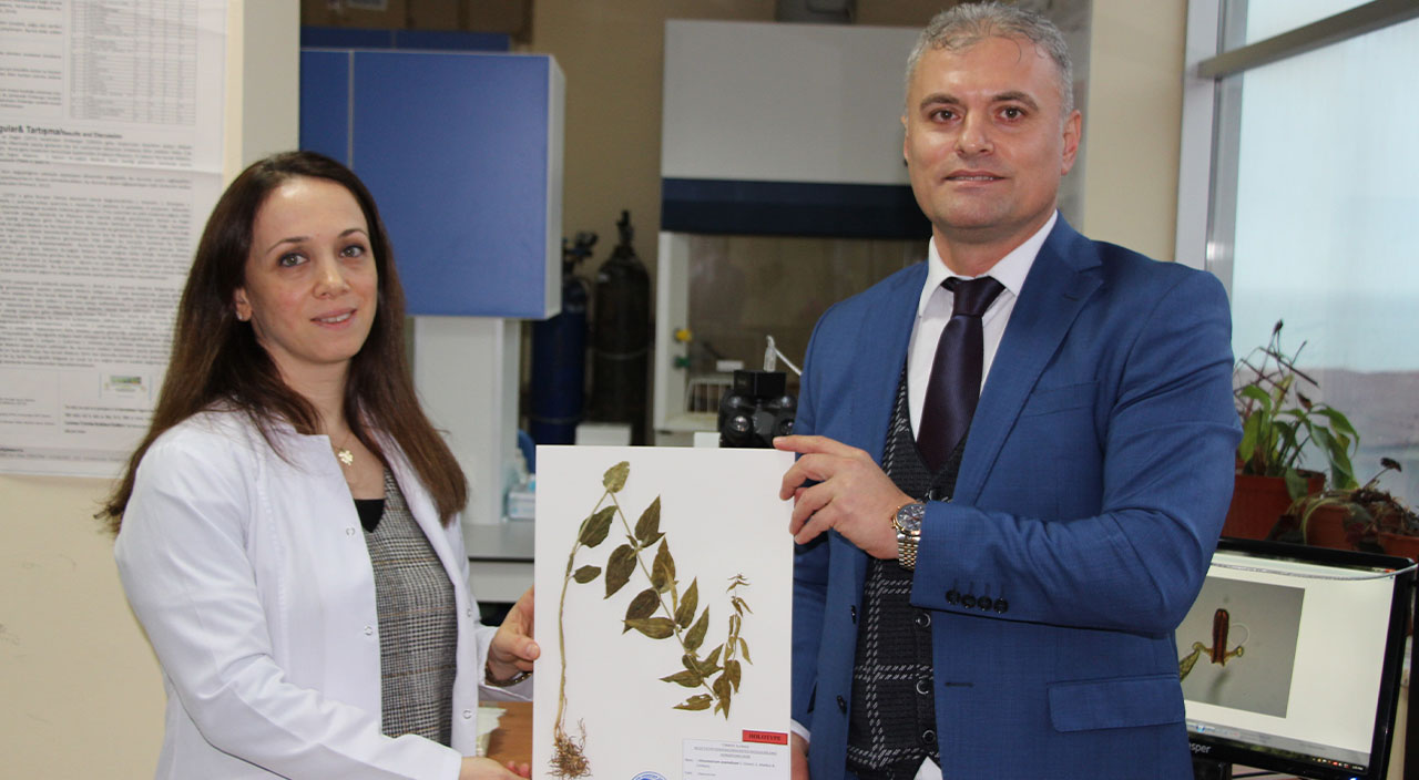Türkiye'de keşfedilen yeni bitki türü bilim dünyasını heyecanlandırdı