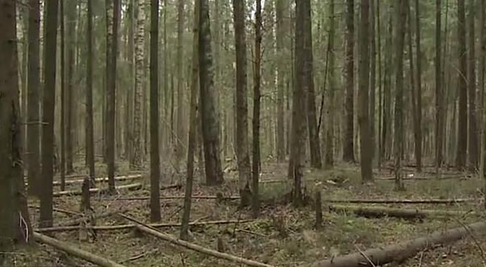 Rusya’da vahşi cinayet!