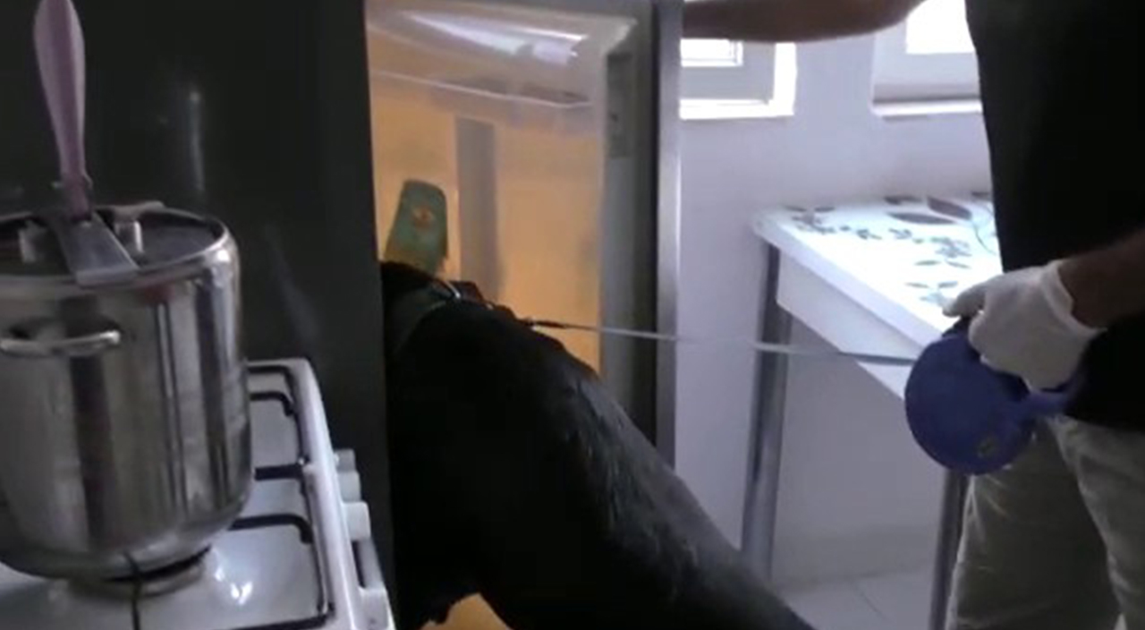 Uyuşturucu tacirlerine baskın: 16 gözaltı