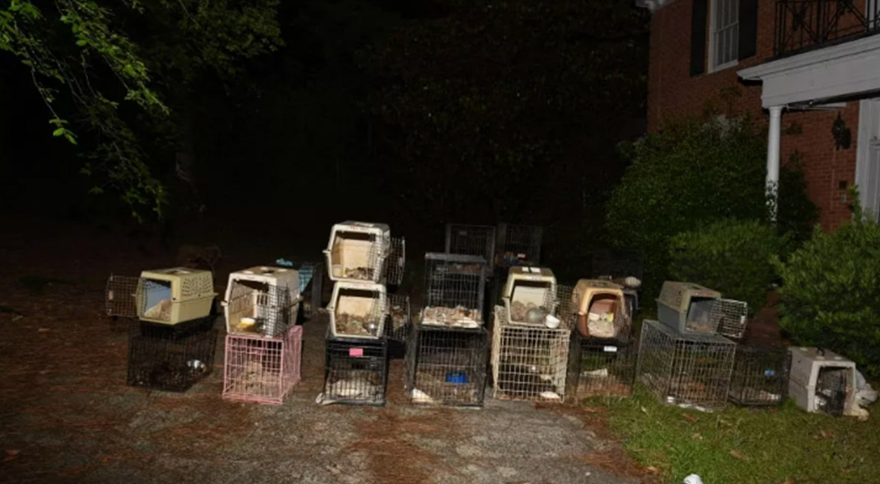 Evdeki ‘leş kokusu’ gerçeği ortaya çıkardı