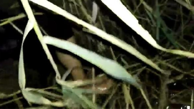 Bataklıkta mahsur kaldı, 3 saat boyunca bağırdı, jandarma kurtardı