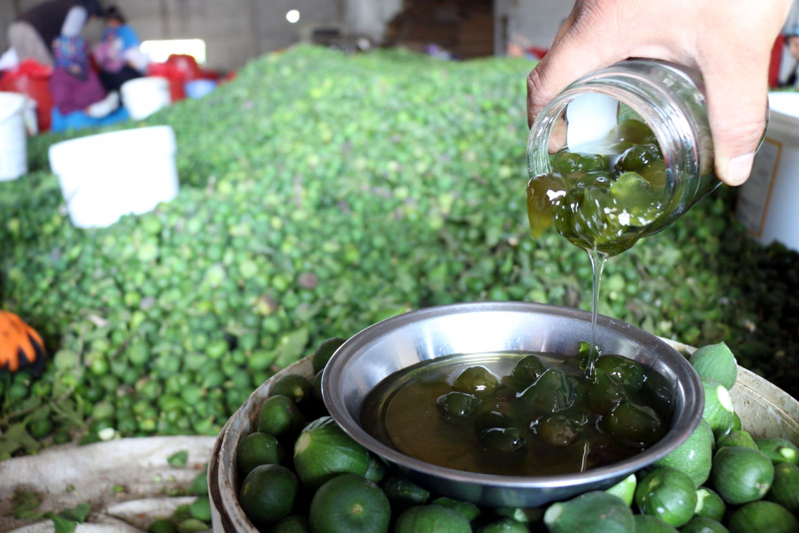 İlek gelir kapısı oldu