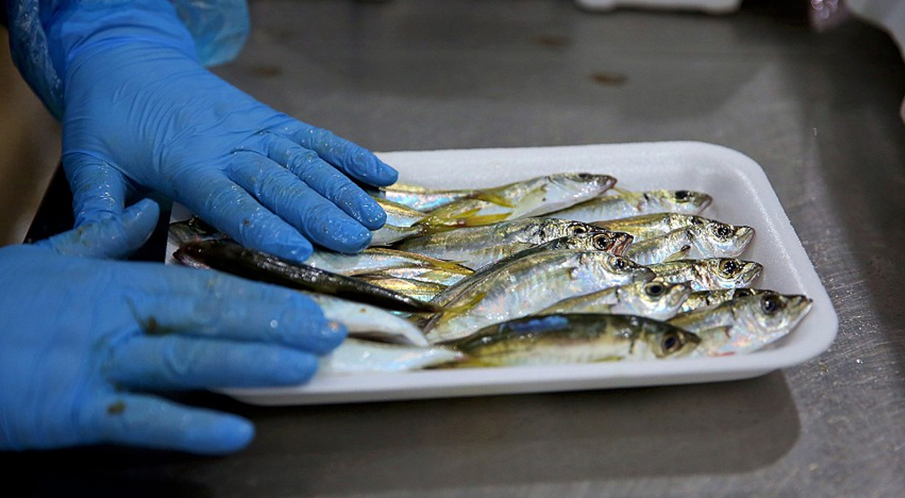 İhracat fiyatları uçurdu! Balık, kırmızı eti geçti