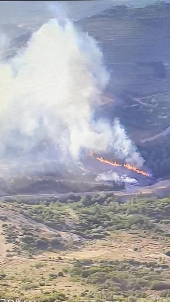 İzmir'de ormanlık alanda çıkan yangın kontrol altına alındı