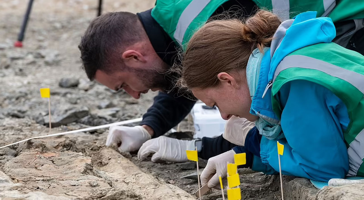 Tam 180 milyon yıllık: Ülke tarihinin en büyük keşiflerinden biri ortaya çıktı