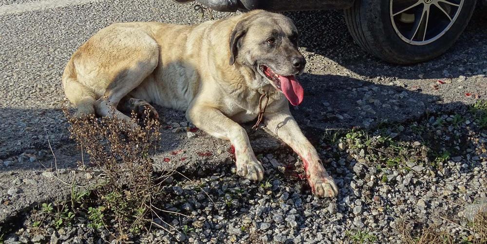 İnsanlık dışı işkencenin cezası belli oldu