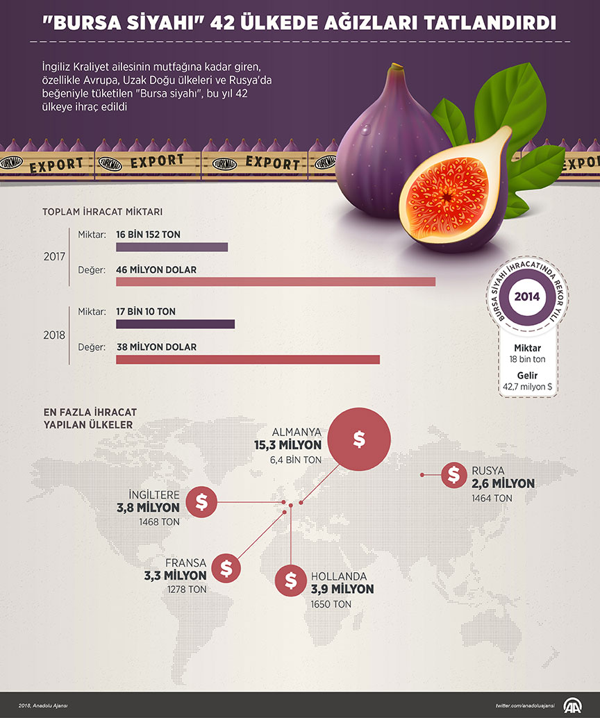 Bursa siyah inciri tescillendi