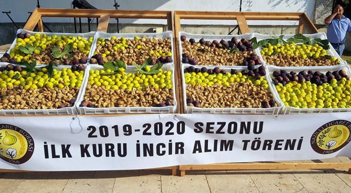 Sezonun ilk inciri 250 TL’den alıcı buldu!