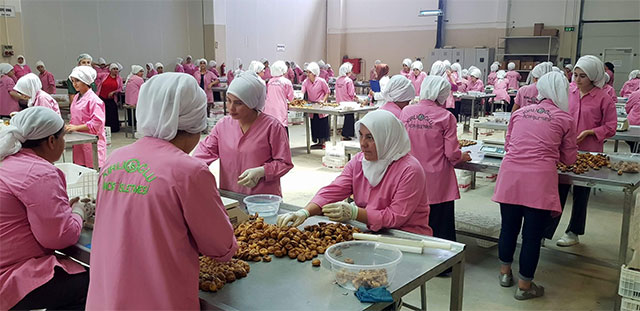 Amerika'ya tepki için incir ihracatı Türk ve Çin parası üzerinden yapılacak