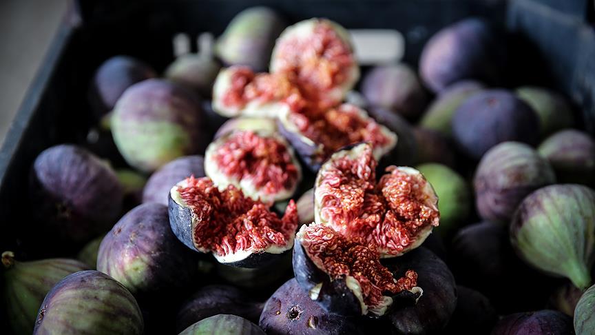 Bursa siyah inciri tescillendi Bursa siyah inciri tescillendi