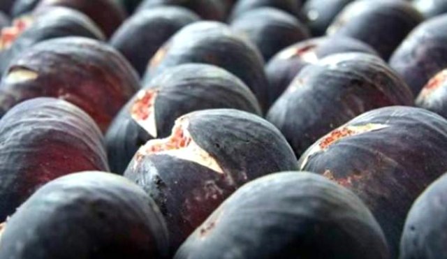 Bursa siyah inciri tescillendi Bursa siyah inciri tescillendi