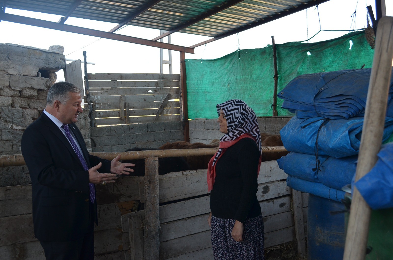 4 çocuk annesi kadın hayvancılık yapmak için köye taşındı