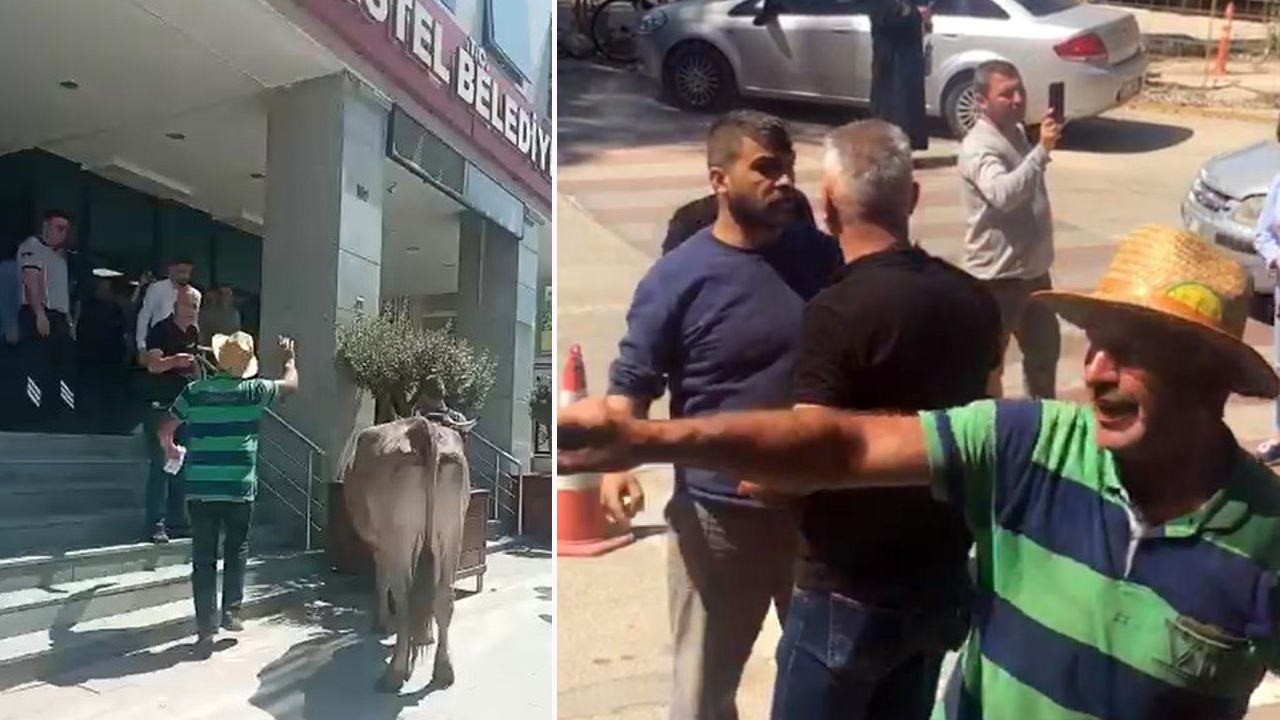 Kaçak ahırı yıkıldı, ineklerini alıp belediyeyi bastı