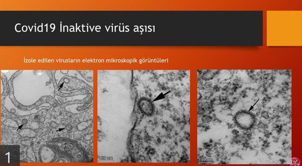 Türk aşısında kritik viraj