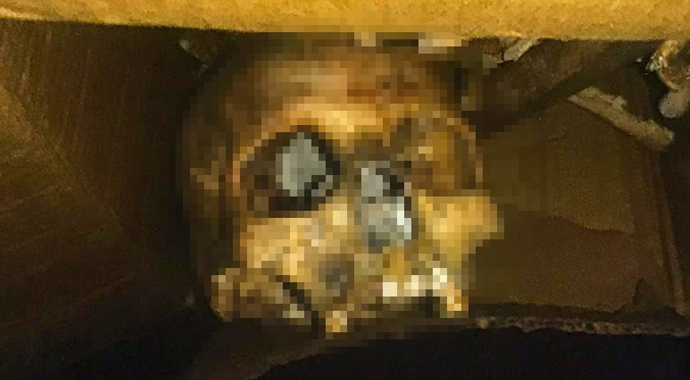 Ev tadilatında insan iskeleti bulundu